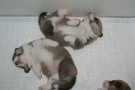 Малыши сладко спят, 02 ноября 2011